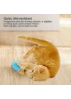 Mey İthalat® İnteraktif Kedi Köpek Şarjlı Oyun Topu