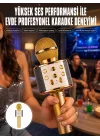 Mey İthalat® Karaoke Mikrofon Dahili Hoparlörlü Sd-usb-aux Girişli Bluetooth Hoparlör