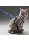 Mey İthalat® Kedi Boyun ve Göğüs Tasması