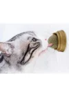 Mey İthalat® Kedi Nanesi (Catnip) Oyun Topu