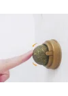 Mey İthalat® Kedi Nanesi Oyun Topu