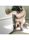 Mey İthalat® Kedi Nanesi Oyun Topu