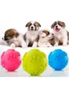 Mey İthalat® Köpek Isırma Topu Pati Desenli 1291