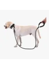 Mey İthalat® Köpekler İçin Reflektörlü Halat Gezdirme Tasması