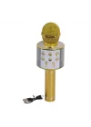 Mey İthalat® Kutulu Karaoke Mikrofon