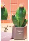 Mey İthalat®  Led Işıklı Kaktüs Biblo Ev Dekorasyon ve Hediyelik Eşya Led Aydınlatma