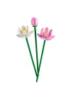 Mey İthalat® Lotus Çiçekleri 40647