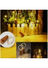 Mey İthalat® Mantar Tıpa Peri Led 50li Paket