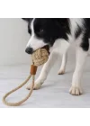 Mey İthalat® Mikopet Köpek Oyun Topu