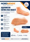 Mey İthalat®  Akupunktur Eğitim Ayak Maketi Anatomik Refleksoloji Nokta Gösterim Modeli Eğitim Maketi
