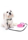 Mey İthalat® Otomatik Uzayan Köpek Tasması 3 METRE