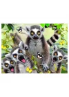 Mey İthalat®  Prime 3D - Lemur Pelüş ve Selfie 48 Parça Puzzle 15801