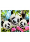 Mey İthalat®  Prime 3D - Panda Pelüş ve Selfie 48 Parça Puzzle 15800