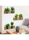 Mey İthalat® Raflı Bitki Tasarımlı Yapışkanlı Sticker 20*30 cm 3lü Set