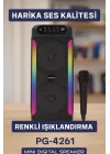 Mey İthalat® RGB Işıklı Çift Hoparlörlü Taşınabilir Bluetooth Speaker ve Mikrofon Yeni Nesil
