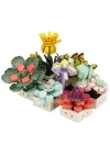 Mey İthalat® S00004685 BLX FLOWER SET SCULENT 971 PRÇ -SUN