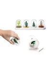 Mey İthalat® Seasoning Shakers Dört Mevsim Baharatlık