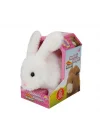 Mey İthalat®  Sevimli Peluş Tavşan Robbie