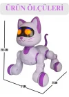 Mey İthalat® SH40194 U/K DANS EDEN ROBOT KEDİ