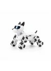 Mey İthalat® SH59964 2.4G UZAK.KUM.AKROBATİK KEDİ KÖPEK
