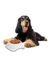 Mey İthalat®  Silikon Kaydırmaz Taban Plastik Kedi ve Köpek Mama ve Su Kabı 2 L