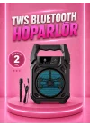 Mey İthalat® Taşınabilir 6.5” Bluetooth Hoparlör USB TF Kart Mikrofonlu Şarjlı Sistem