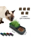 Mey İthalat® Topraksız Kedi Çimi Kabı