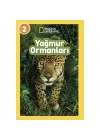 Mey İthalat® Yağmur Ormanları