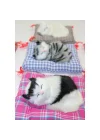 Mey İthalat® Yastıkta Uyuyan Kedi Sesli Alk24