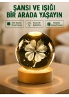 Mey İthalat® Yonca Figürlü Cam Küre USB Işıklı Ahşap Tabanlı Dekoratif Masa Lambası