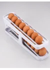 Mey İthalat® YUMURTA DÜZENLEYİCİ