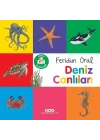 Minik Kitaplarım – Deniz Canlıları