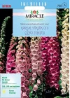 Miracle Excelsior Mixed Karışık Renkli Yüksükotu Çiçeği Tohumu (700 tohum)