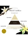 MİSSİ 3 Adet Black Vanilya Kokulu Zarf Seti