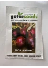 MOR SOĞAN (ÇOKLU TOHUM) - 3 Gram