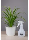 MP872 Yağmur500 Pro10 Endüstriyel 1.0cc Fısfıs 0,5Litre