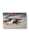 Muhteşem Atlar Tablosu 45 x 30