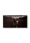Muscles Canvas Tablo 60 x 30