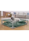 My First Frame Pool Evcil Hayvan 2si 1 Arada Köpek Havuzu ve Yükseltilmiş Köpek Yatağı, 102 x 74 x 20 cm, 130 L, TriTech Çelik Çerçeve, Katlanabilir, Çizilmez, Hızlı Kurulum, Dış Mekan Evcil