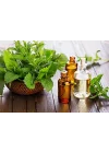 Nane Yağı 10 Ml