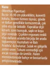Nane Yaprağı Yağı (20 ml)