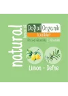 Natural Kişisel Bakım Havlusu 100 Yaprak