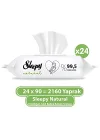 Natural Yenidoğan Islak Bebek Bakım Havlusu 24X90 Adet