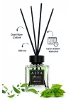 Natures Scents Green Tea Bambu Çubuklu Oda Kokusu - Yeşilçay Kokusu