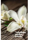 Natures Scents Vanilla- Vanilya Oda Kokusu Yedek Makine Spreyi 250 ml