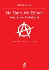 Ne Tanrı Ne Efendi Anarşizm Antolojisi