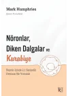 Nöronlar, Diken Dalgalar ve Kurabiye