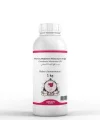 Norveç Böğürtleni Maserasyon Yağı Rubus chamaemorus 1 kg