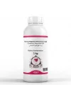 Norveç Böğürtleni Maserasyon Yağı Rubus chamaemorus 1 kg