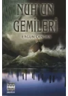 Nuhun Gemileri